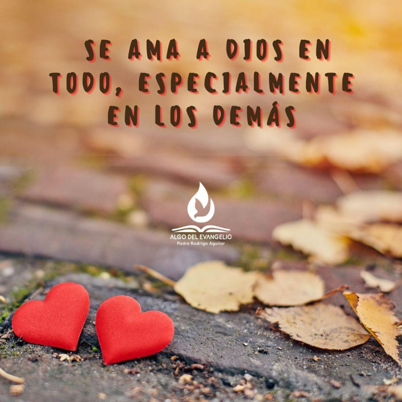 EL EVANGELIO DE HOY