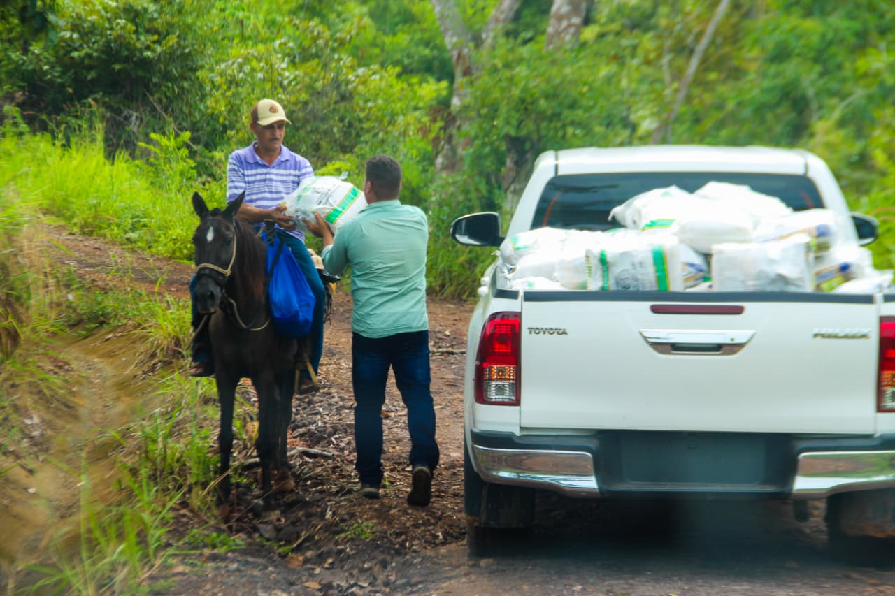 Más de 100 pick-up del IMA reparten bolsas de alimentos
